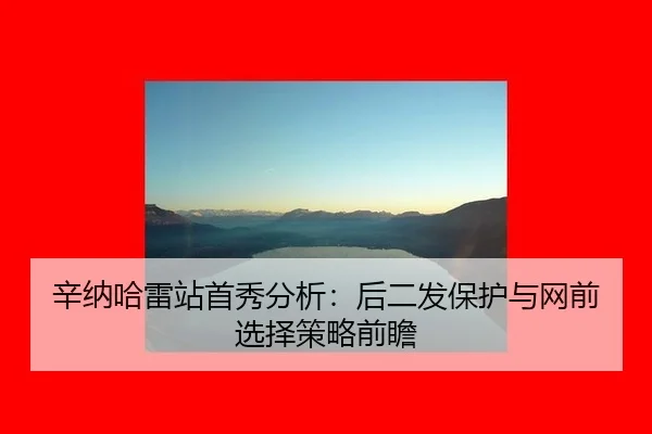 xin-na-ha-lei-zhan-shou-xiu-fen-xi-hou-er-fa-bao-hu-yu-wang-qian-xuan-ze-ce-lve-qian-zhan-2-682.jpg