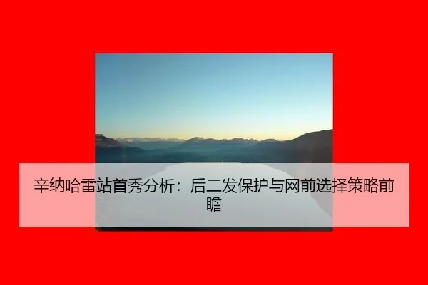 辛纳哈雷站首秀分析：后二发保护与网前选择策略前瞻